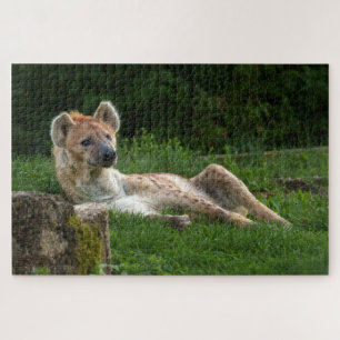 Hyenas Bliss erobert das Lächeln der Natur Puzzle