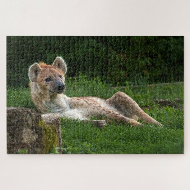 Hyenas Bliss erobert das Lächeln der Natur Puzzle (Horizontal)