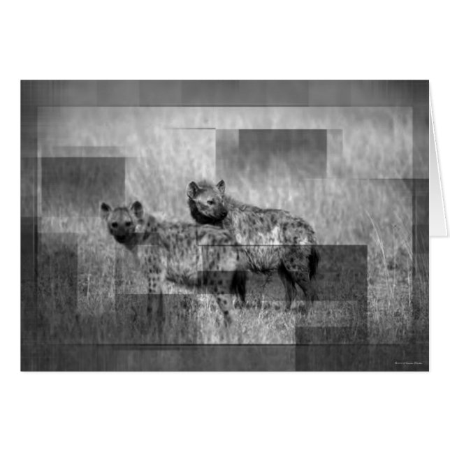 Hyenas Card (Vorderseite (Horizontal))