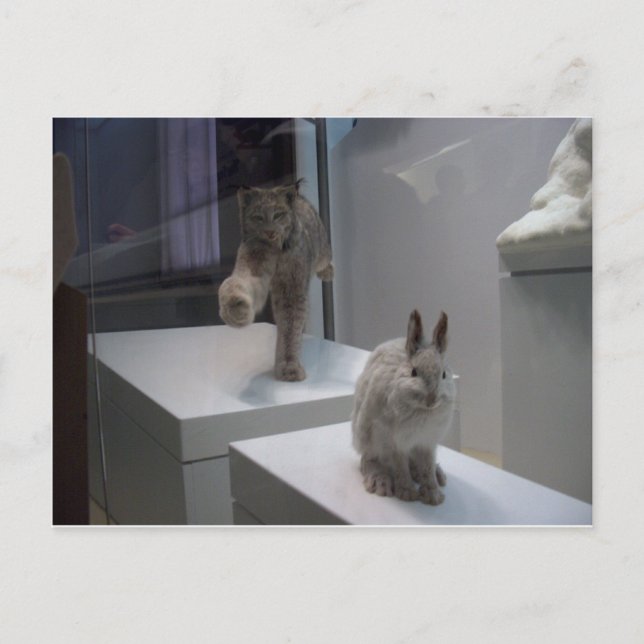 Hyper Lynx läuft (a)Cross-Hare Postkarte (Vorderseite)