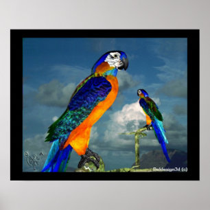 HYPER-PAPAGEIEN / BLAUER ARA POSTER