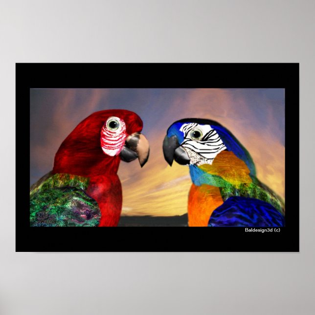 HYPER-PAPAGEIEN / ROTE UND BLAUE ARAS POSTER (Vorne)