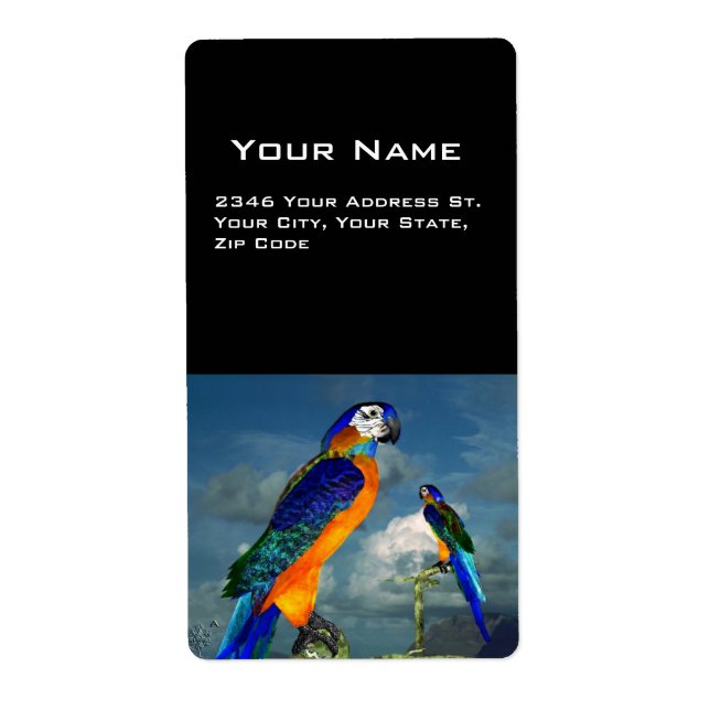 HYPER PARROS / BLAUE ARA (Vorne)