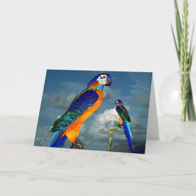 HYPER PARROS / BLAUE ARA KARTE (Vorderseite)