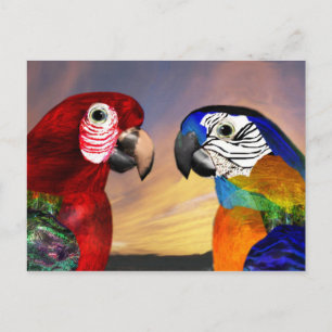 HYPER PARROS / ROTE UND BLAUE ARA POSTKARTE