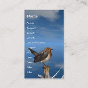 HYPER VÖGEL/ROBIN-ROT-BRUST VISITENKARTE