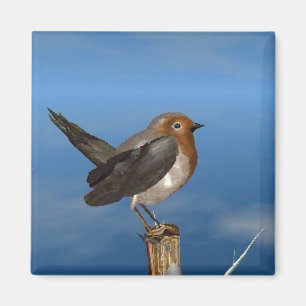 HYPER VRREN / ROBIN ROT BREAST MAGNET