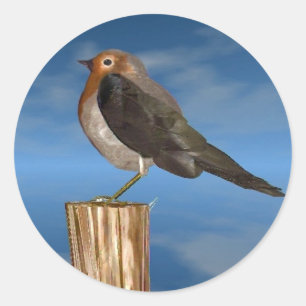 HYPER VRREN / ROBIN ROT BREAST RUNDER AUFKLEBER