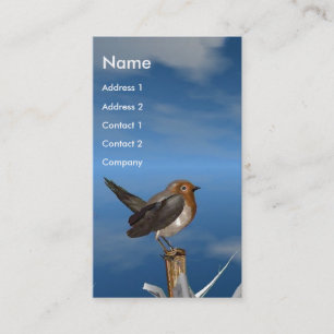 HYPER VRREN / ROBIN ROTES BRAST-MONOGRAM VISITENKARTE