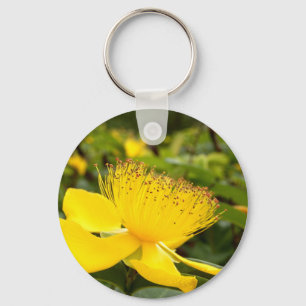Hypericum Calcyinum Schlüsselring Schlüsselanhänger