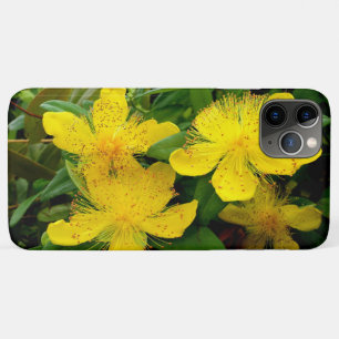 Hypericum calycinum Case-Mate iPhone hülle