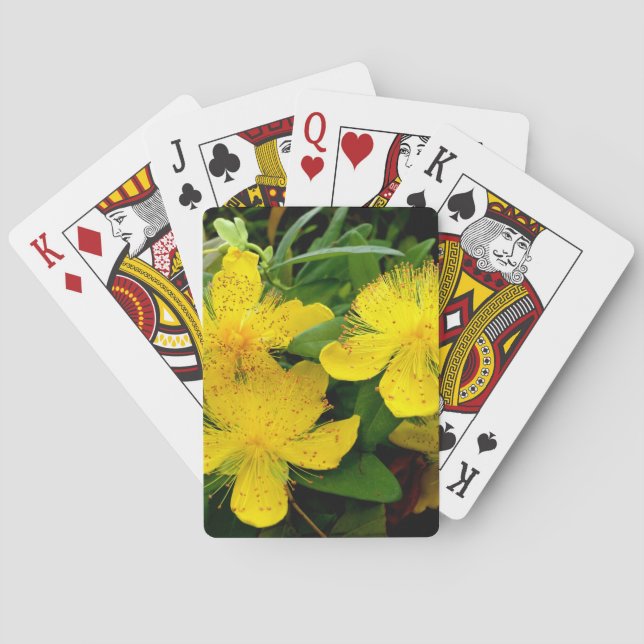Hypericum calycinum spielkarten (Rückseite)
