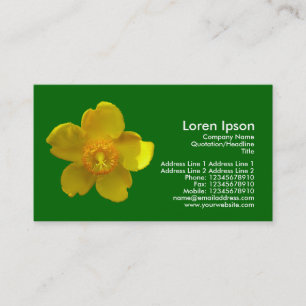 Hypericum Hidcote - Gras grün Visitenkarte