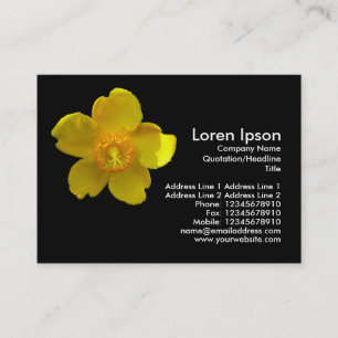 Hypericum Hidcote (Johanniskraut) Visitenkarte