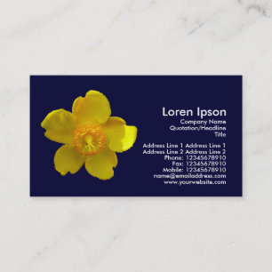 Hypericum Hidcote - Marineblau Visitenkarte
