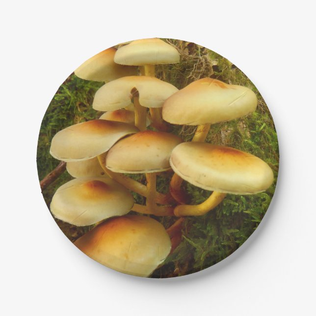 Hypholoma fasciculare Pilz-Papier-Teller Pappteller (Vorderseite)