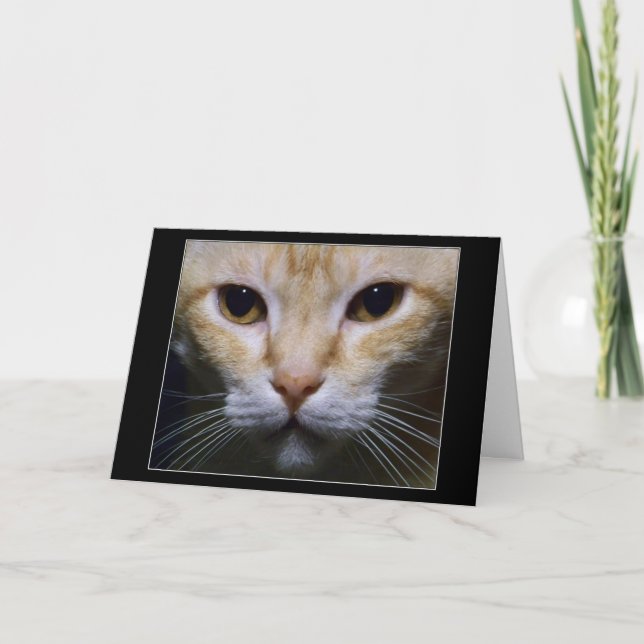 "Hypnotik " Karte (Vorderseite)