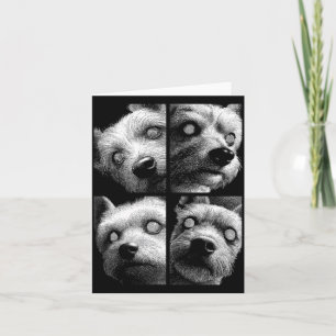Hypnotischer Yorkshire Terrier Ungleiche Augen Wei Karte