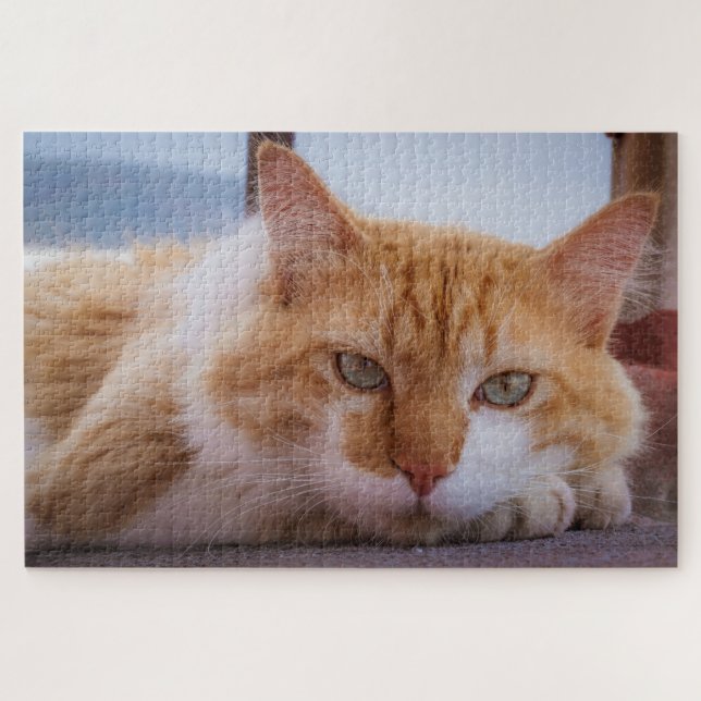 hypnotisches Katzenpuzzle Puzzle (Horizontal)