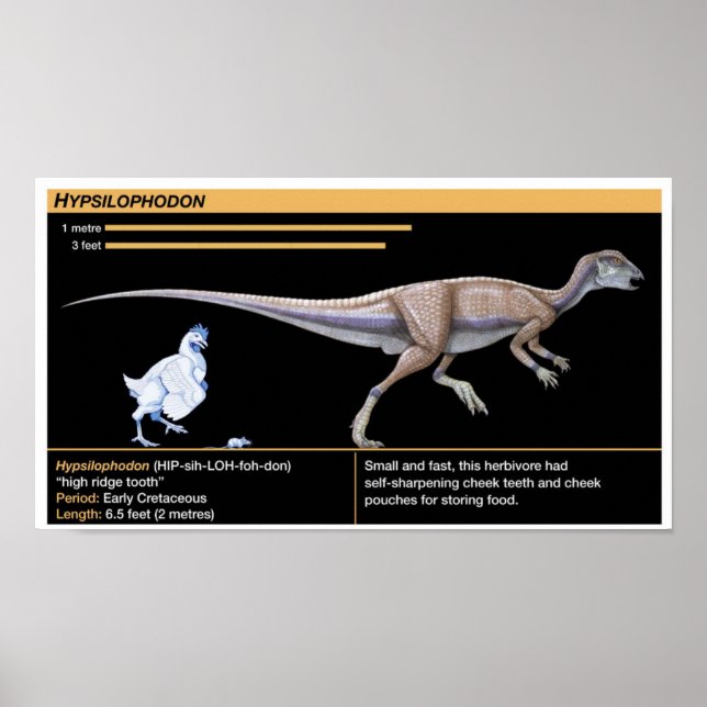 Hypsilophodon - Biology Jurassic Dinosaur Poster (Vorne)