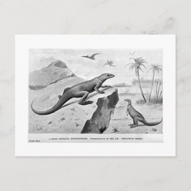 Hypsilophodon-Kunstpostkarte Postkarte (Vorderseite)