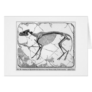Hyracotherium venticolum Kunstkarte