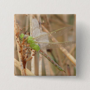 I1 Green Dragonfly Button