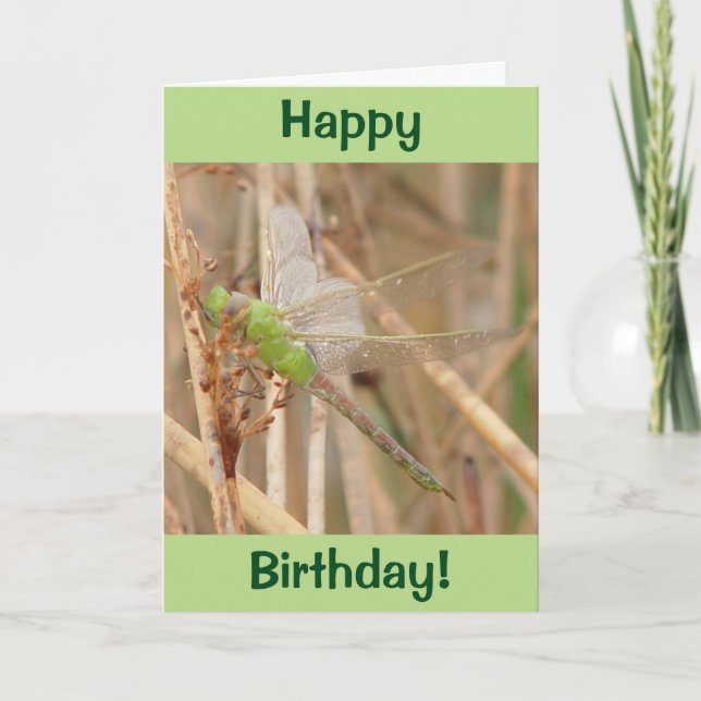 I1 Green Dragonfly Karte (Vorderseite)