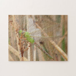 I1 Green Dragonfly Puzzle