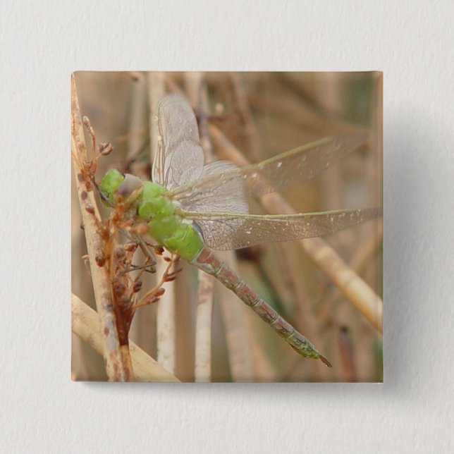 I1 Grüne Libelle Button (Vorderseite)