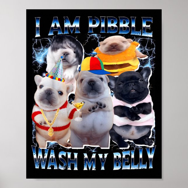 I Am Bble Wash My Belly Bble Meme Funny Dog Brainr Poster (Vorne)
