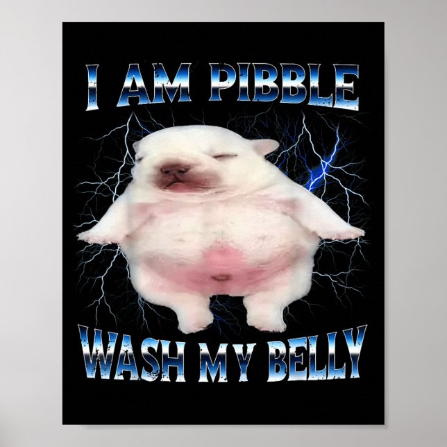 I Am Bble Wash My Belly Funny Dog Clean My Belly M Poster (Vorne)