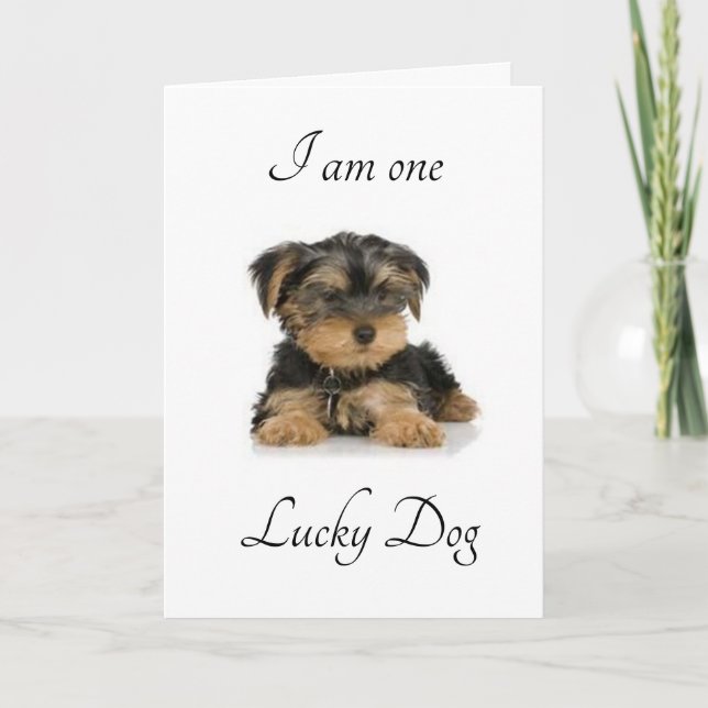 I AM "MARRIED TO YOU" LUCKY DO I AM KARTE (Vorderseite)