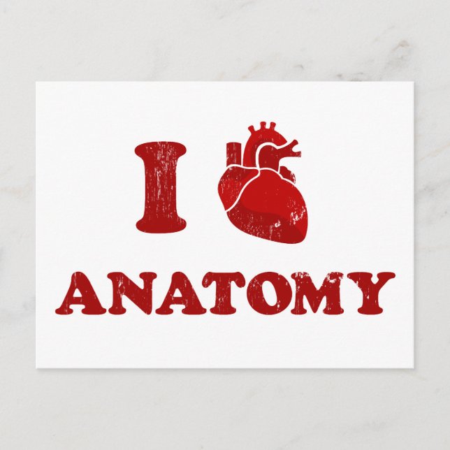 i Anatomie der Liebe2 Postkarte (Vorderseite)