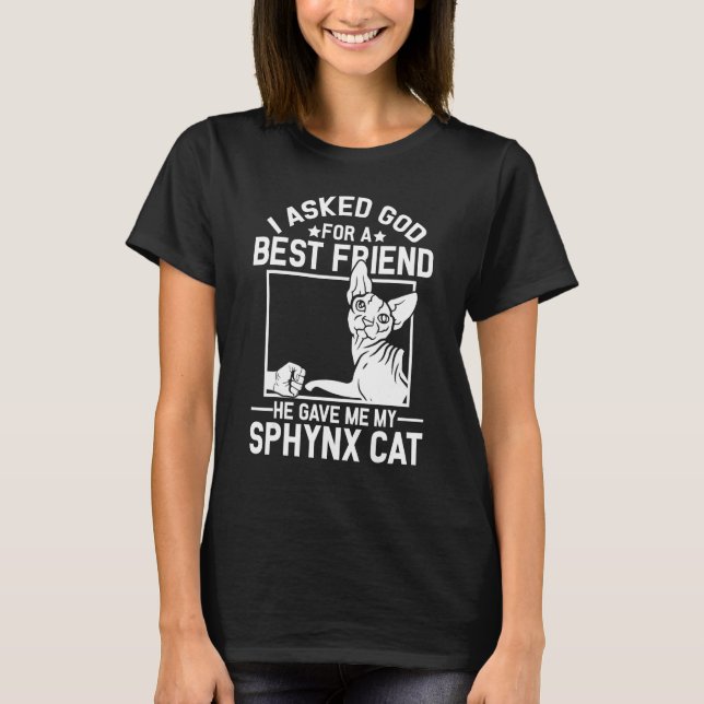 I Asked God For A Best Friend  Sphynx Cat Mom T-Shirt (Vorderseite)