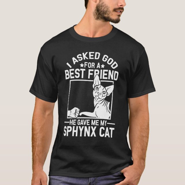 I Asked God For A Best Friend  Sphynx Cat Mom T-Shirt (Vorderseite)