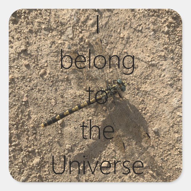 I belong to the Universe - Sticker (Vorderseite)