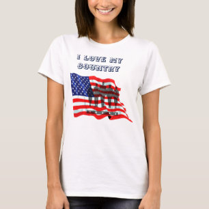 I Bin USA_ T-Shirt