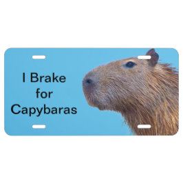 I Bremse für Capybaras Lizenzplatte US Nummernschild