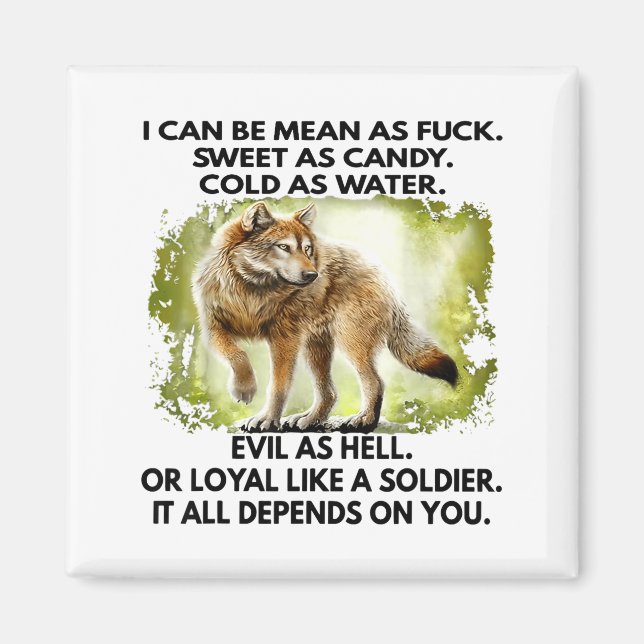 I Can Be Mean As For Sweet As Candy Cold As Water  Magnet (Vorne)