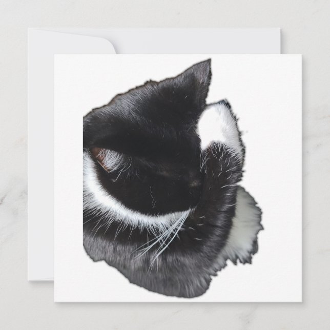 I Can't Even Right Meow (Vorderseite)