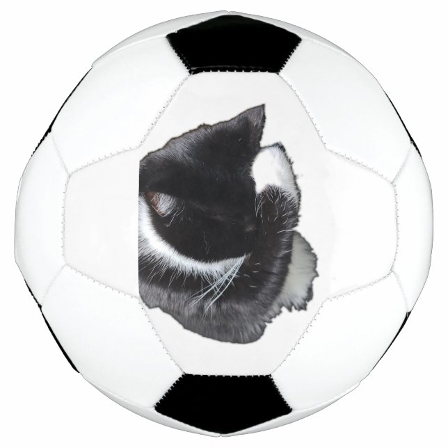 I Can't Even Right Meow Fußball (Vorderseite)
