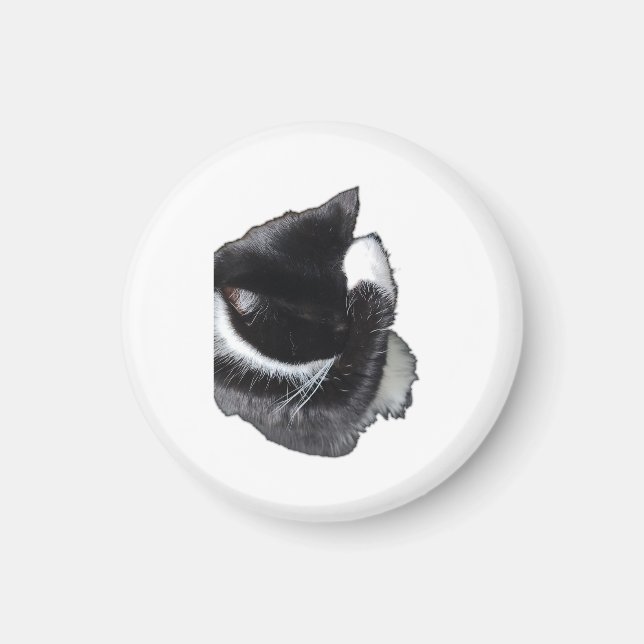 I Can't Even Right Meow Magnet (Vorne)