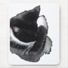 I Can't Even Right Meow Mousepad