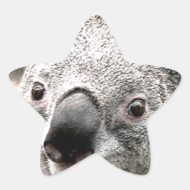 I Care_ Stern-Aufkleber (Vorderseite)