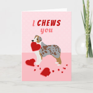 I Chews You Australian Shepherd Valentine's Day Feiertagskarte