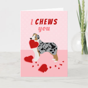 I Chews You Australian Shepherd Valentine's Day Feiertagskarte
