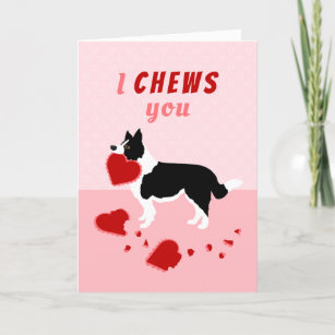 I Chews You Border Collie Valentine's Day Feiertagskarte