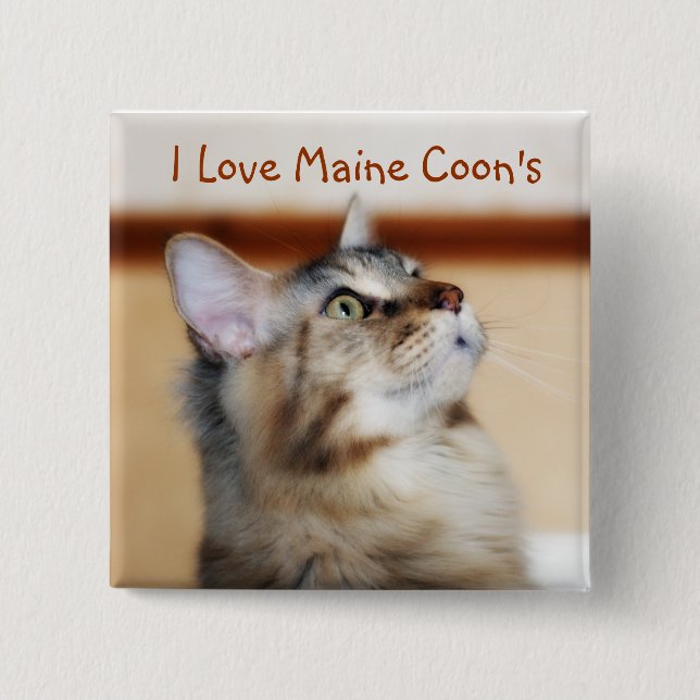 I das Abzeichen Liebe-Maine-Waschbären - Button (Vorderseite)