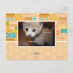 I didn't do it. postkarte